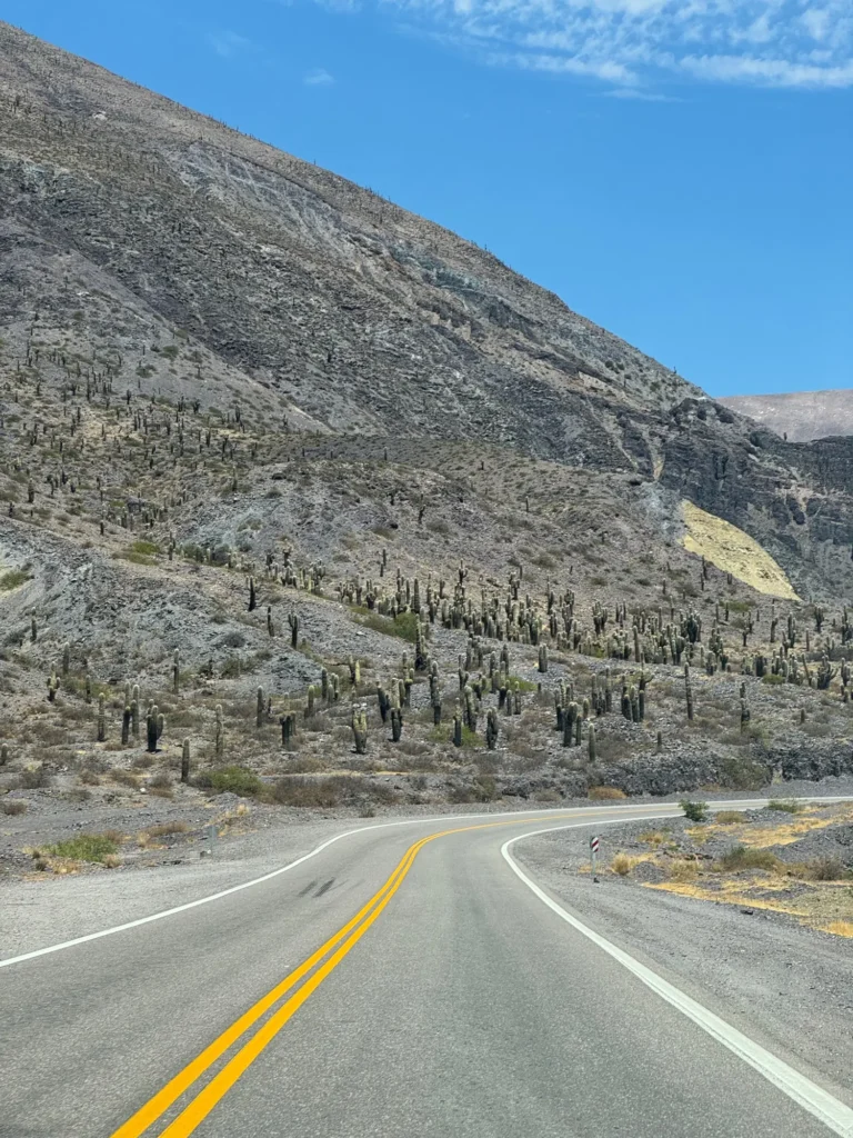Argentina per nomadi digitali 10 La quebrada fra i cactus, salendo verso l’altopiano. Novembre 2024.