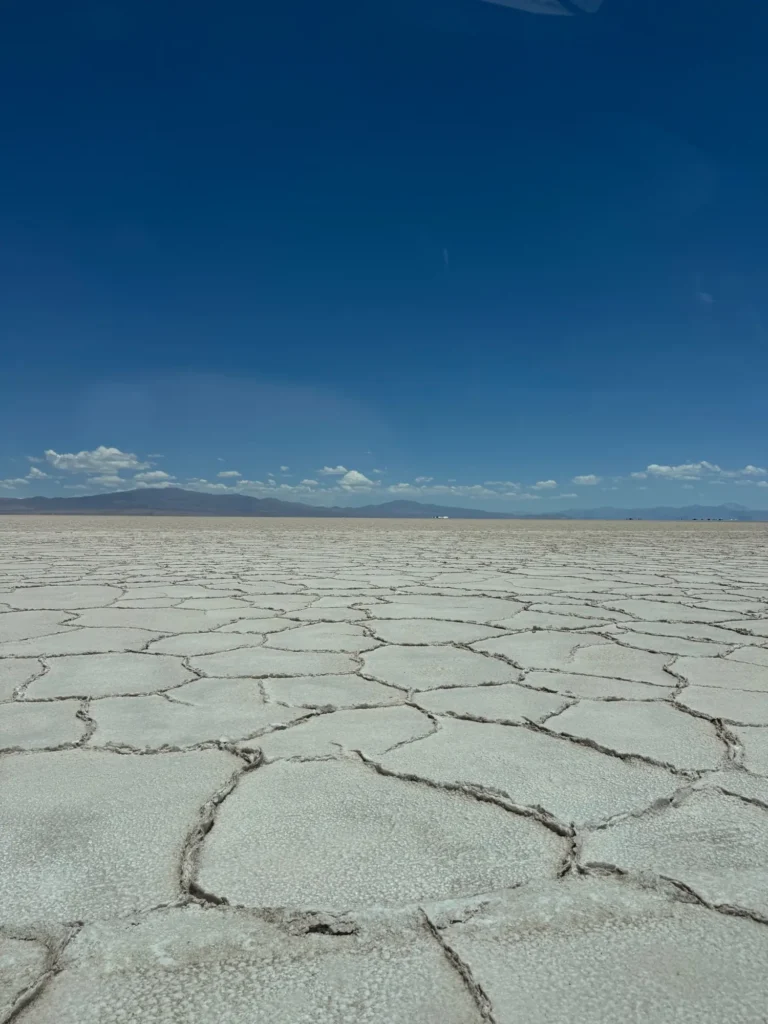 Argentina per nomadi digitali 11 La crosta di sale delle Salinas Grandes, a 3.400 metri. Novembre 2024.
