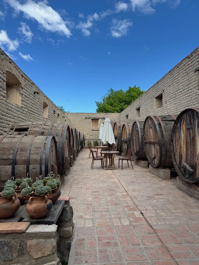 Argentina per nomadi digitali 16 Le botti di una bodega a Cafayate, dove si fa il Torrontés. Novembre 2024.