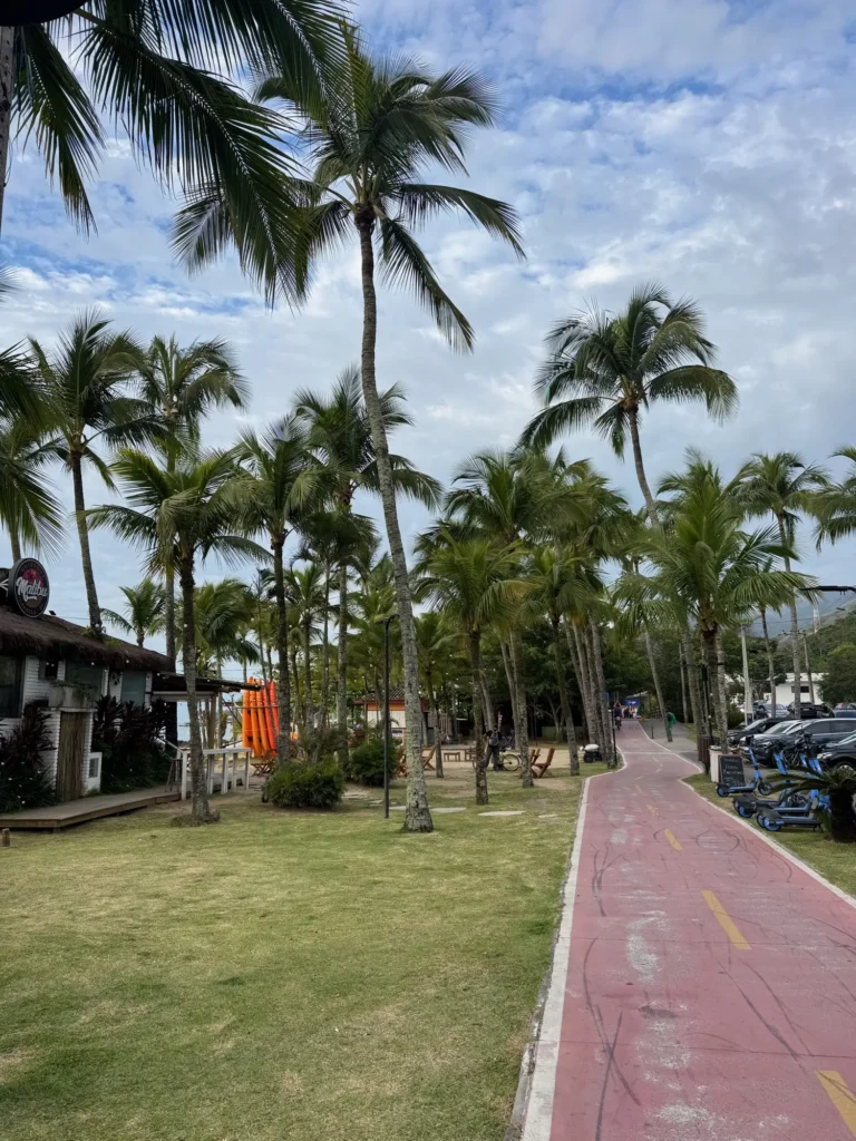 Brasile per nomadi digitali 2 Il lungomare di Ilhabela, con la ciclabile fra le palme. Novembre 2025.