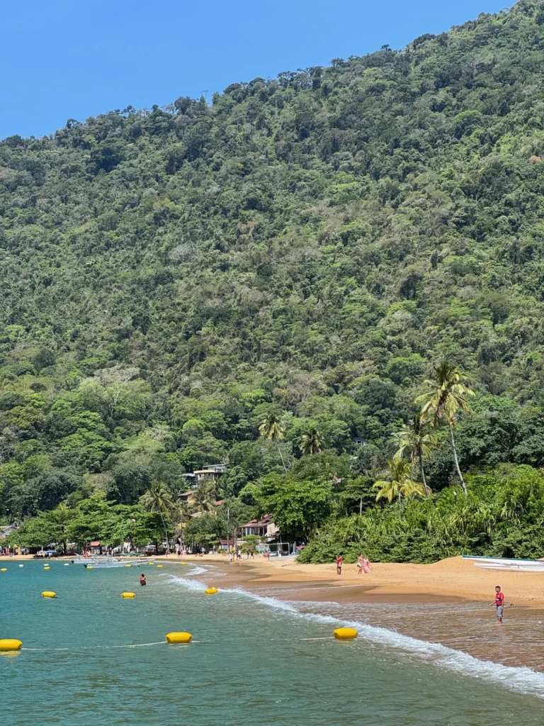 Brasile per nomadi digitali 21 La foresta che scende fino alla sabbia, a Ilha Grande. Ottobre 2024.