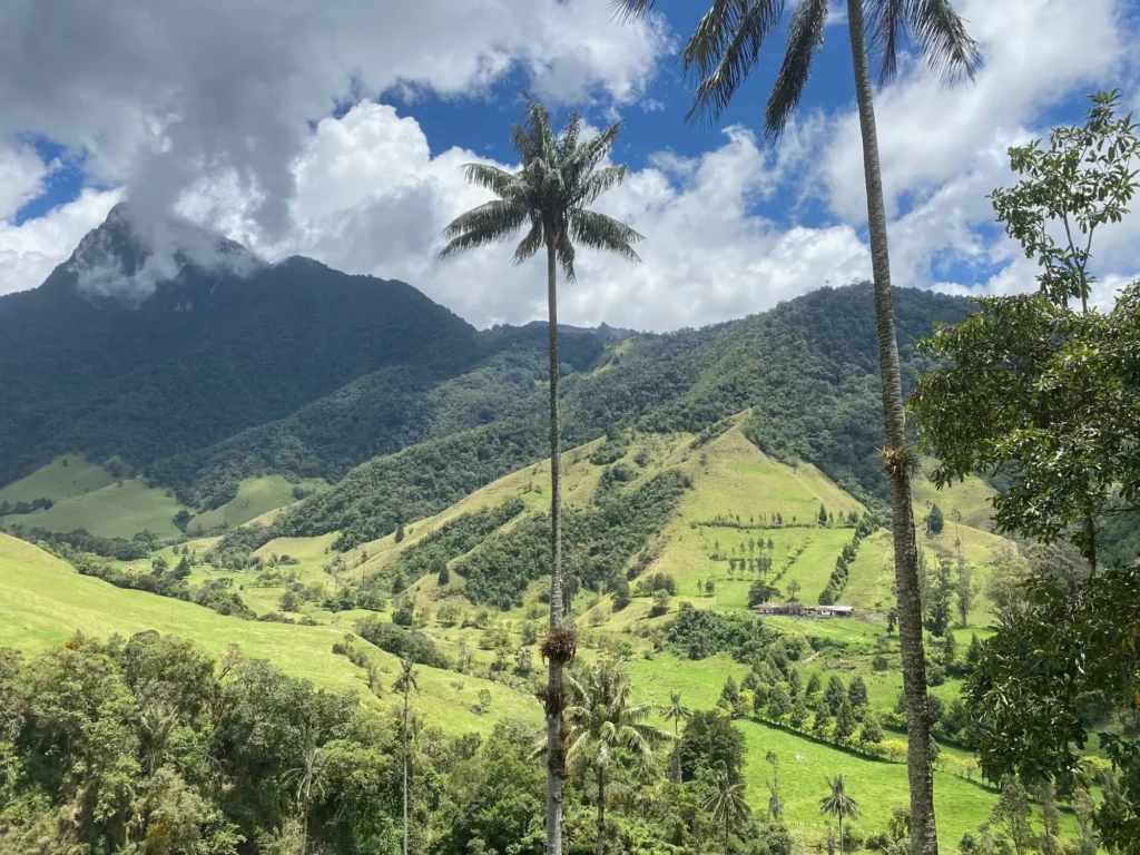 Colombia per nomadi digitali 2 Valle de Cocora, Salento, settembre 2021