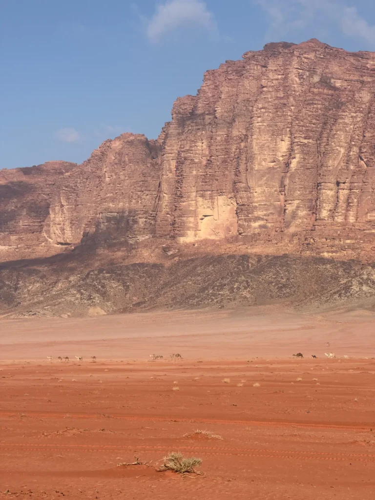 Giordania per nomadi digitali 17 Una parete del Wadi Rum che parte dritta dalla sabbia. Marzo 2025.