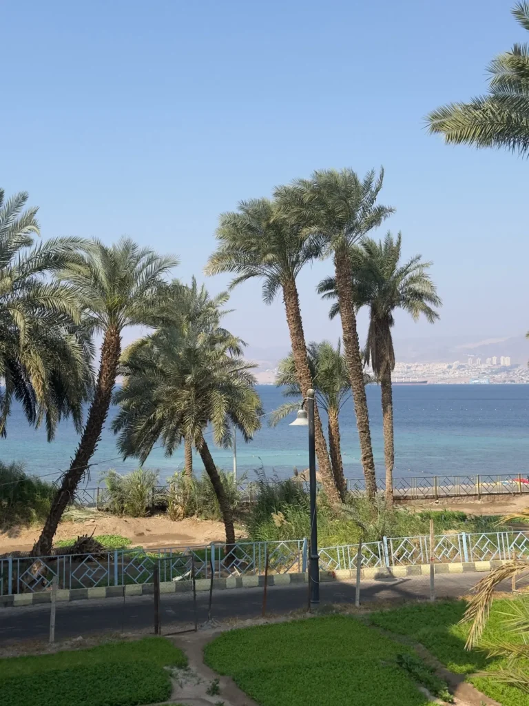 Giordania per nomadi digitali 19 Le palme e il Mar Rosso ad Aqaba. Marzo 2025.