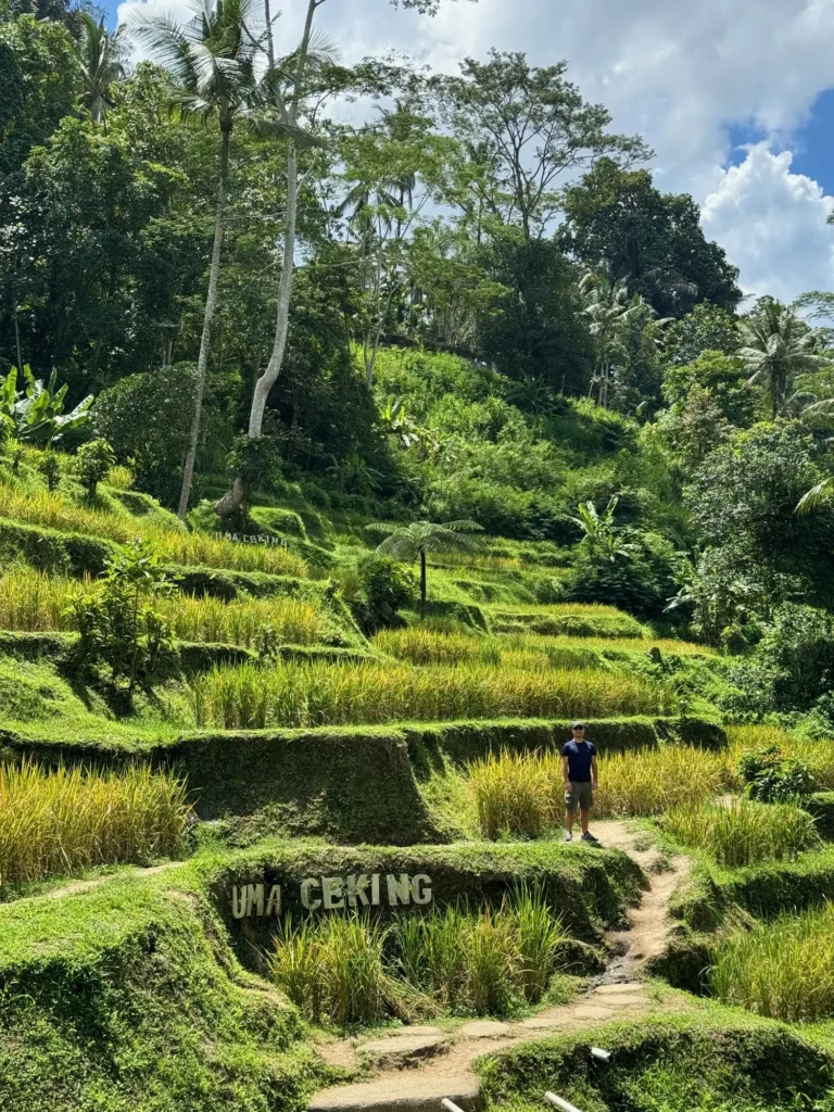 Indonesia per nomadi digitali 6 Le terrazze di Uma Ceking viste dal sentiero. Febbraio 2024.