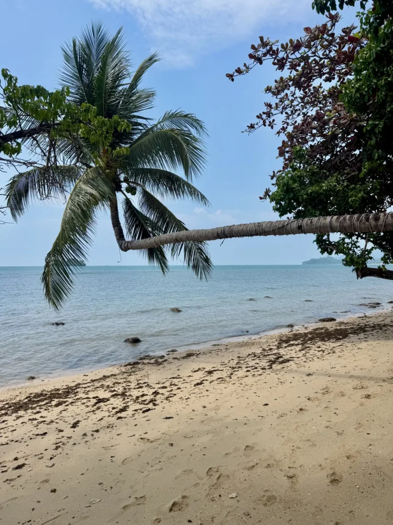Thailandia per nomadi digitali 17 Ko Chang, febbraio 2026